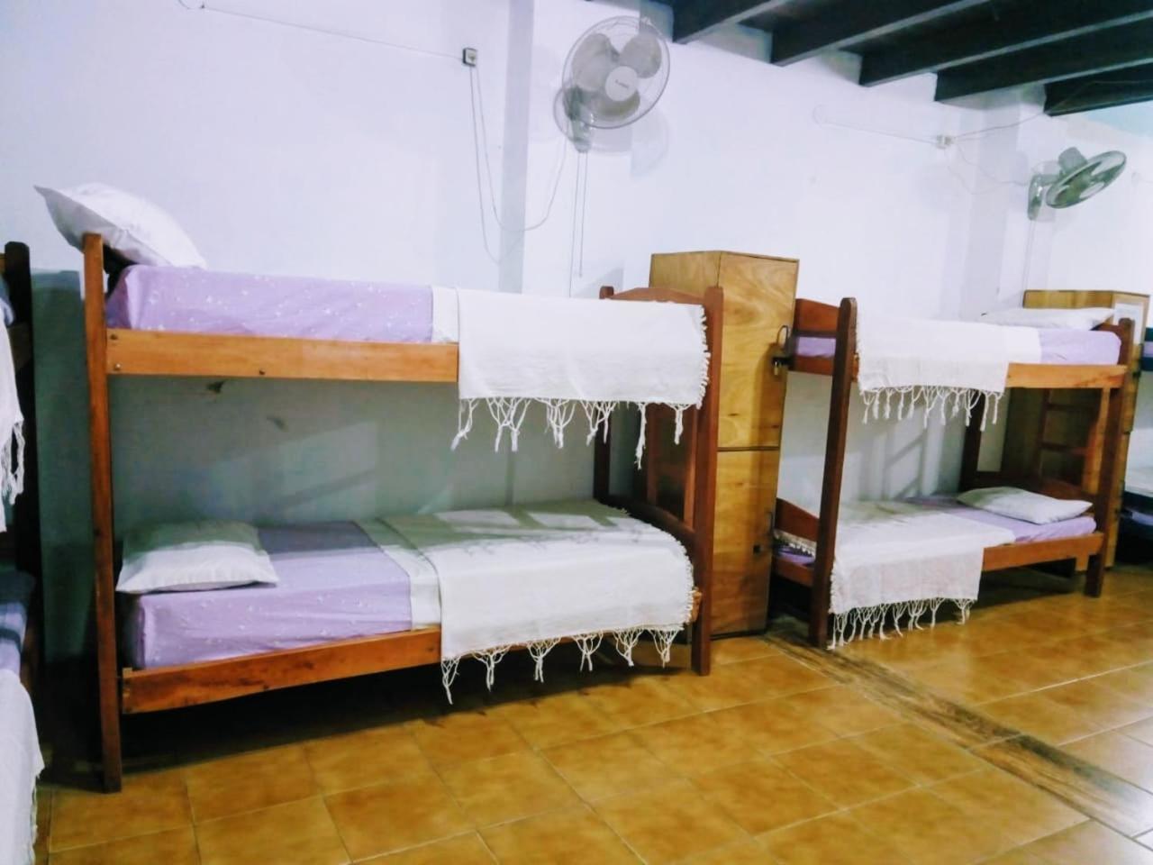 אסונסיון Black Cat Hostel מראה חיצוני תמונה