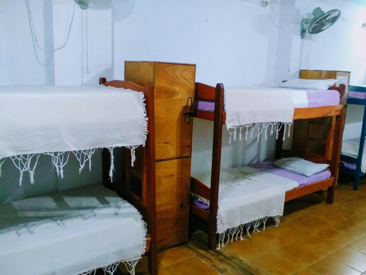 אסונסיון Black Cat Hostel מראה חיצוני תמונה