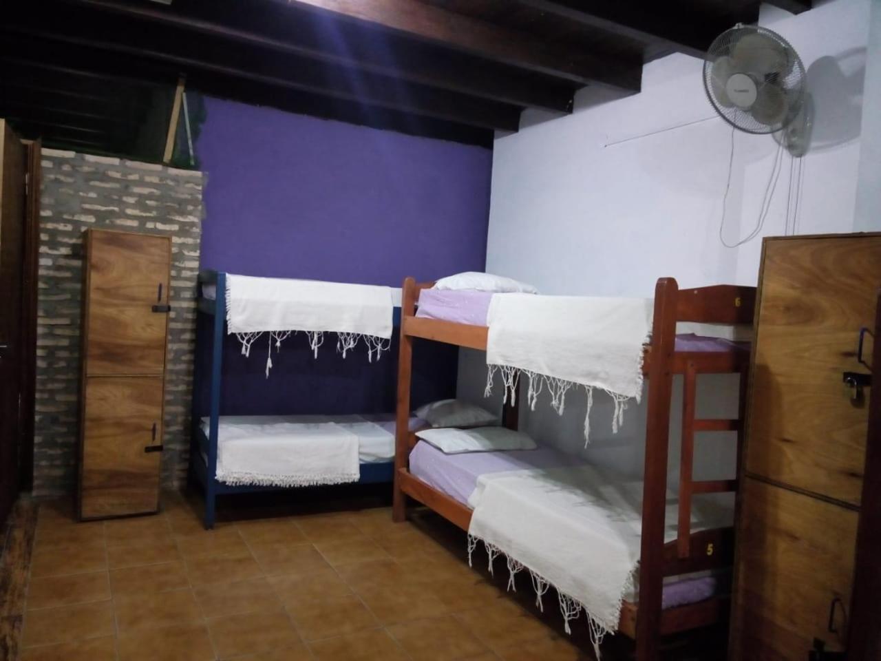 אסונסיון Black Cat Hostel מראה חיצוני תמונה